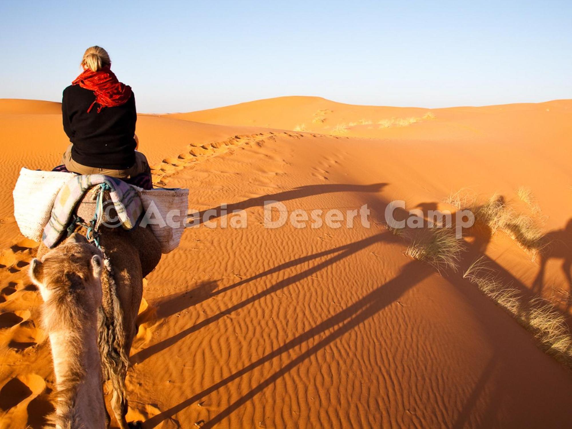 Готель Acacia Desert Camp Мерзуга Екстер'єр фото