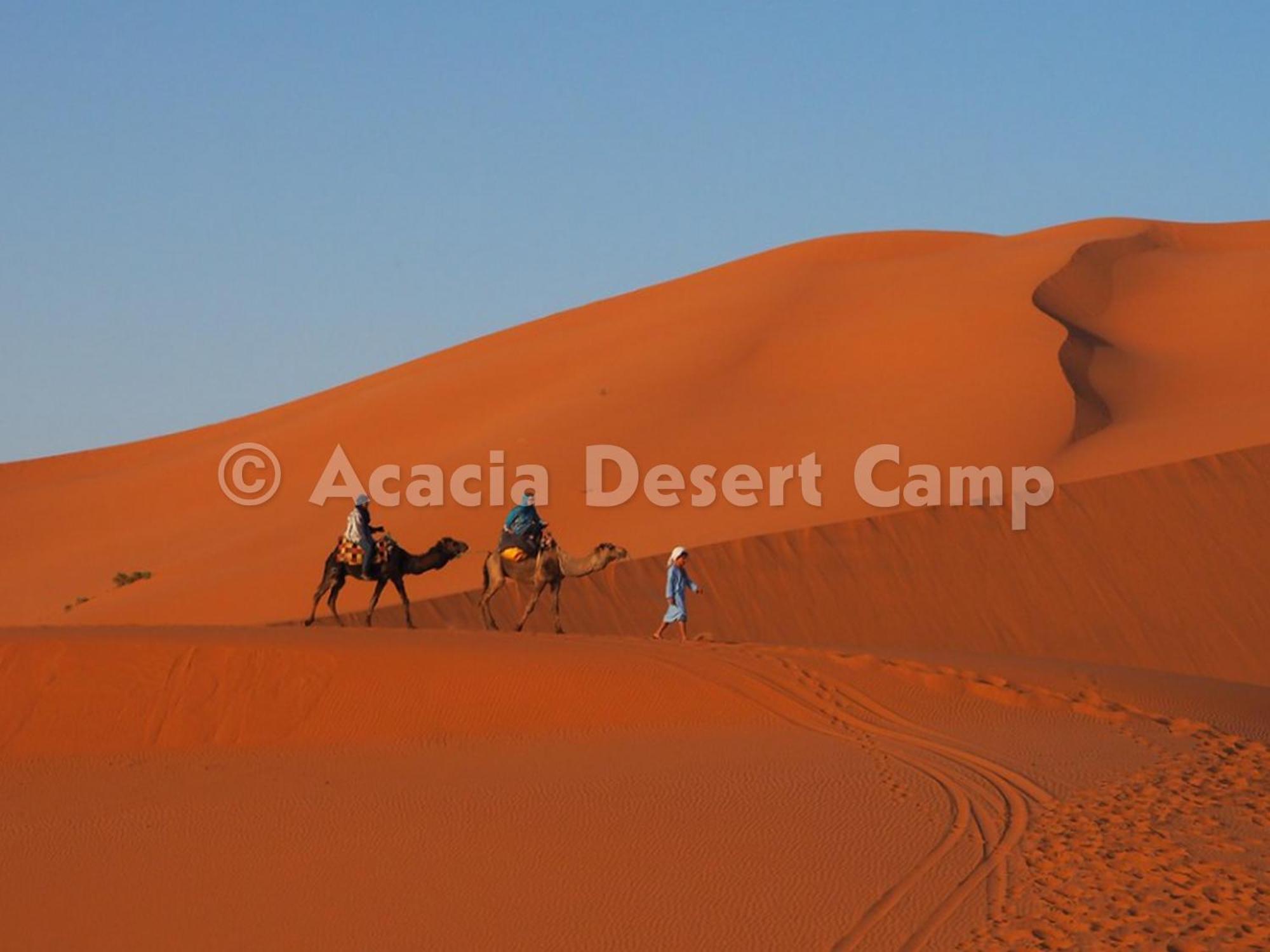 Готель Acacia Desert Camp Мерзуга Екстер'єр фото